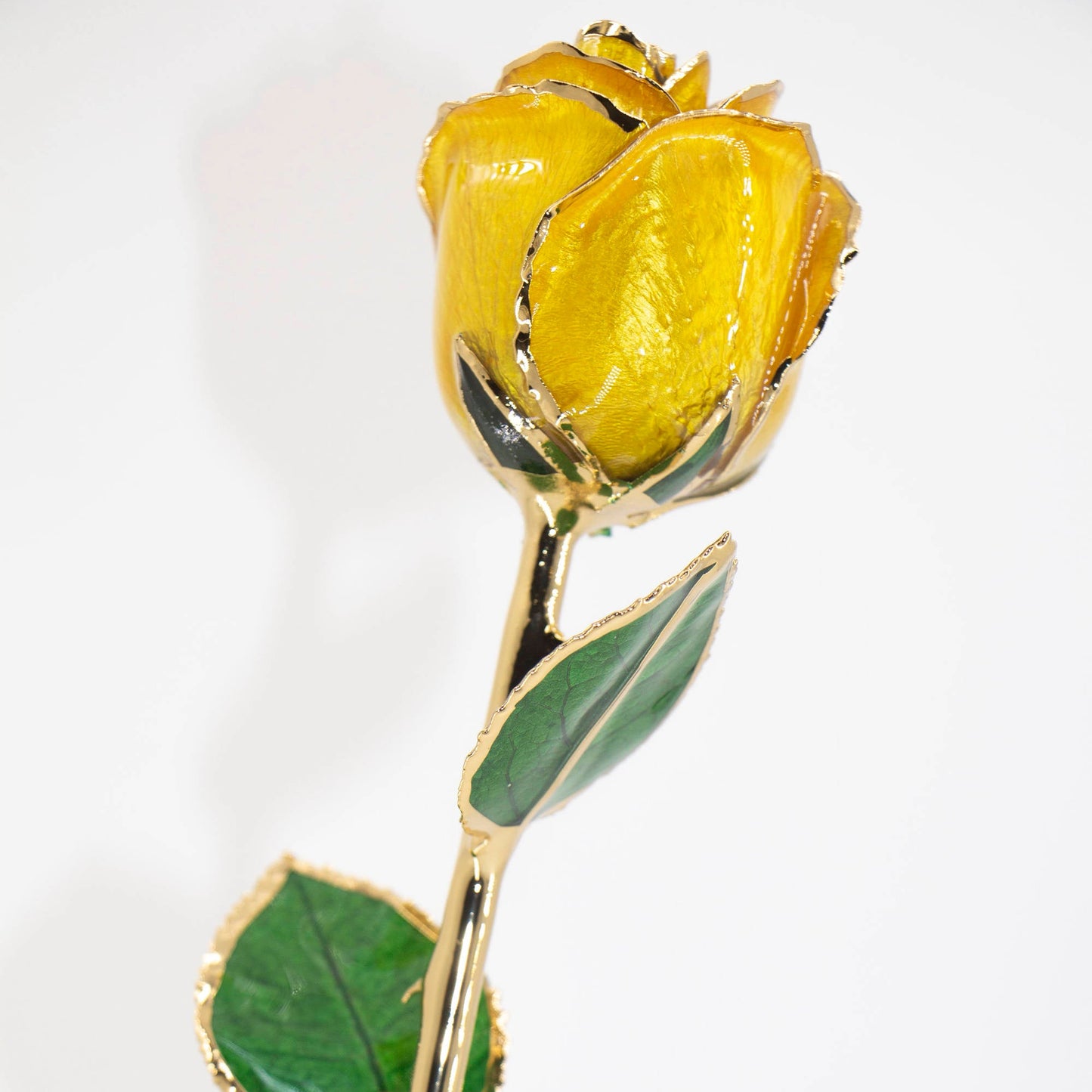 24K Gold Dipped Flower with Gift Box