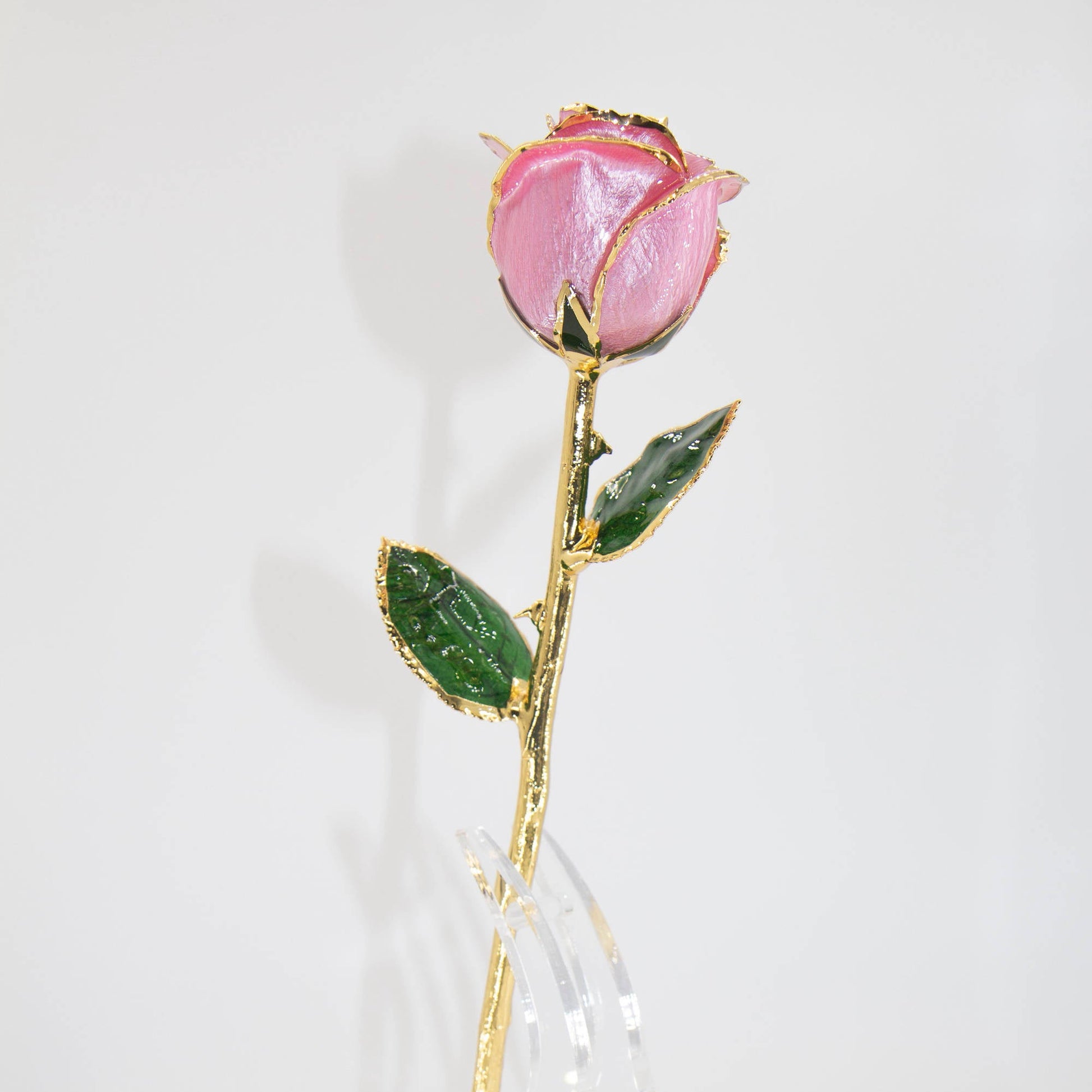 24K Gold Plated Real Pink Rose – Solomon Jeweler
