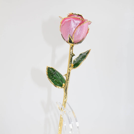 24K Gold Plated Real Pink Rose – Solomon Jeweler