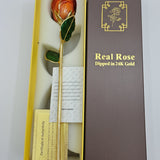 24K Gold Dipped Real Rose in Luxury Gift Box – Solomon Jeweler