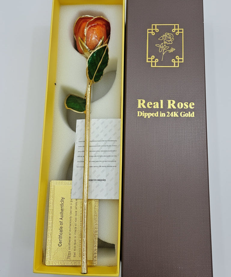 24K Gold Dipped Real Rose in Luxury Gift Box – Solomon Jeweler