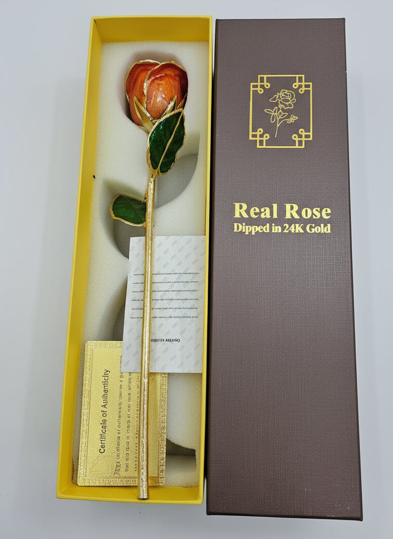 24K Gold Dipped Real Rose in Luxury Gift Box – Solomon Jeweler