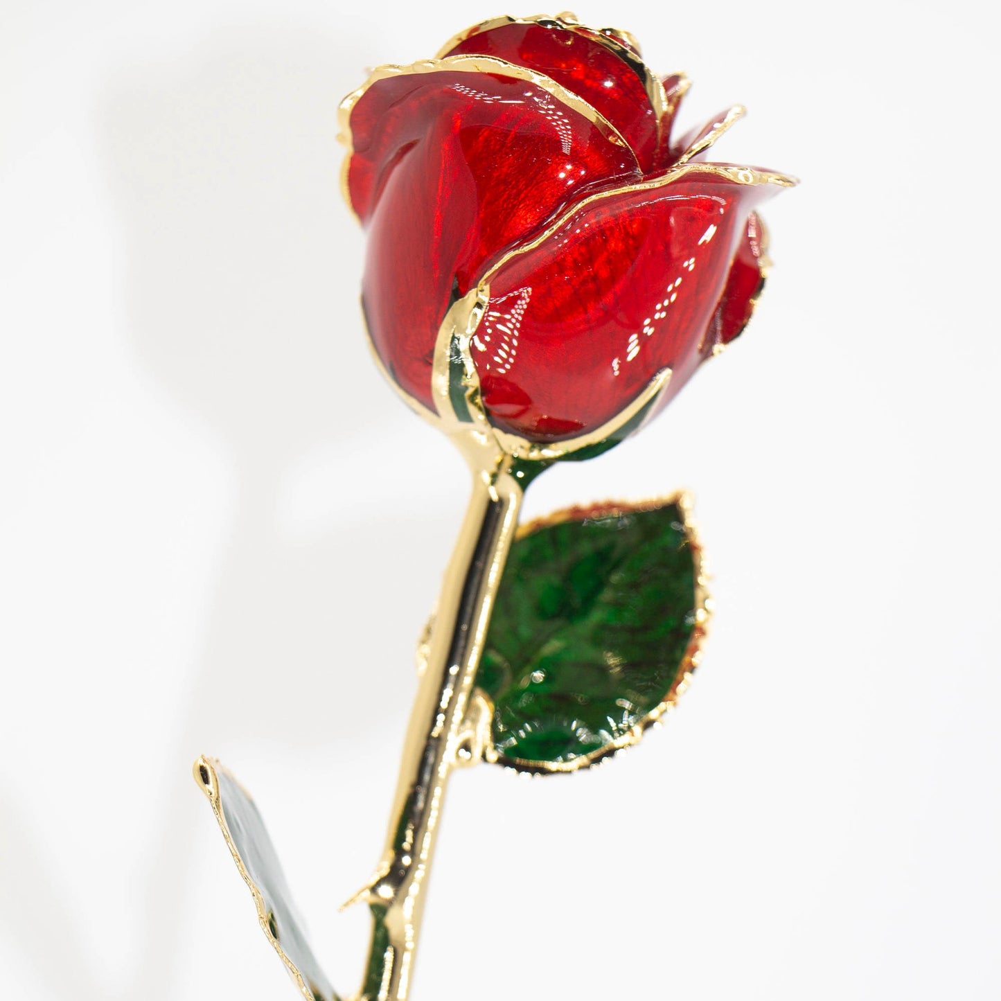 Gold Dipped Real Rose with Gift Box