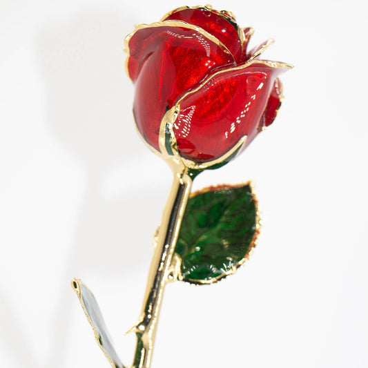 Gold Dipped Real Rose with Gift Box