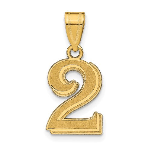 14k-polished-etched-number-2-pendant-SolomonJeweler-Wichita-KS-CustomJewelry