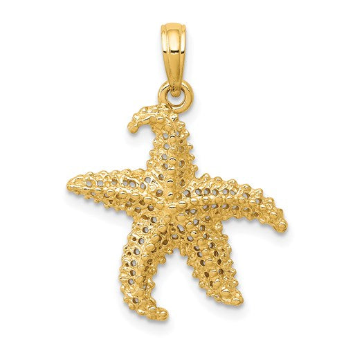 14k-polished-open-backed-starfish-pendant-SolomonJeweler-Wichita-KS-CustomJewelry