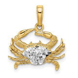 14k-w-rhodium-diamond-cut-blue-crab-pendant-SolomonJeweler-Wichita-KS-CustomJewelry