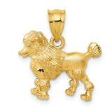 14k gold poodle dog charm pendant, detailed jewelry piece from Solomon Jewelers, featuring a cute poodle dog design.