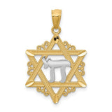 14k-w-rhodium-star-of-david-pendant-SolomonJeweler-Wichita-KS-CustomJewelry