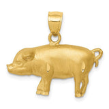 14k-diamond-cut-pig-pendant-SolomonJeweler-Wichita-KS-CustomJewelry