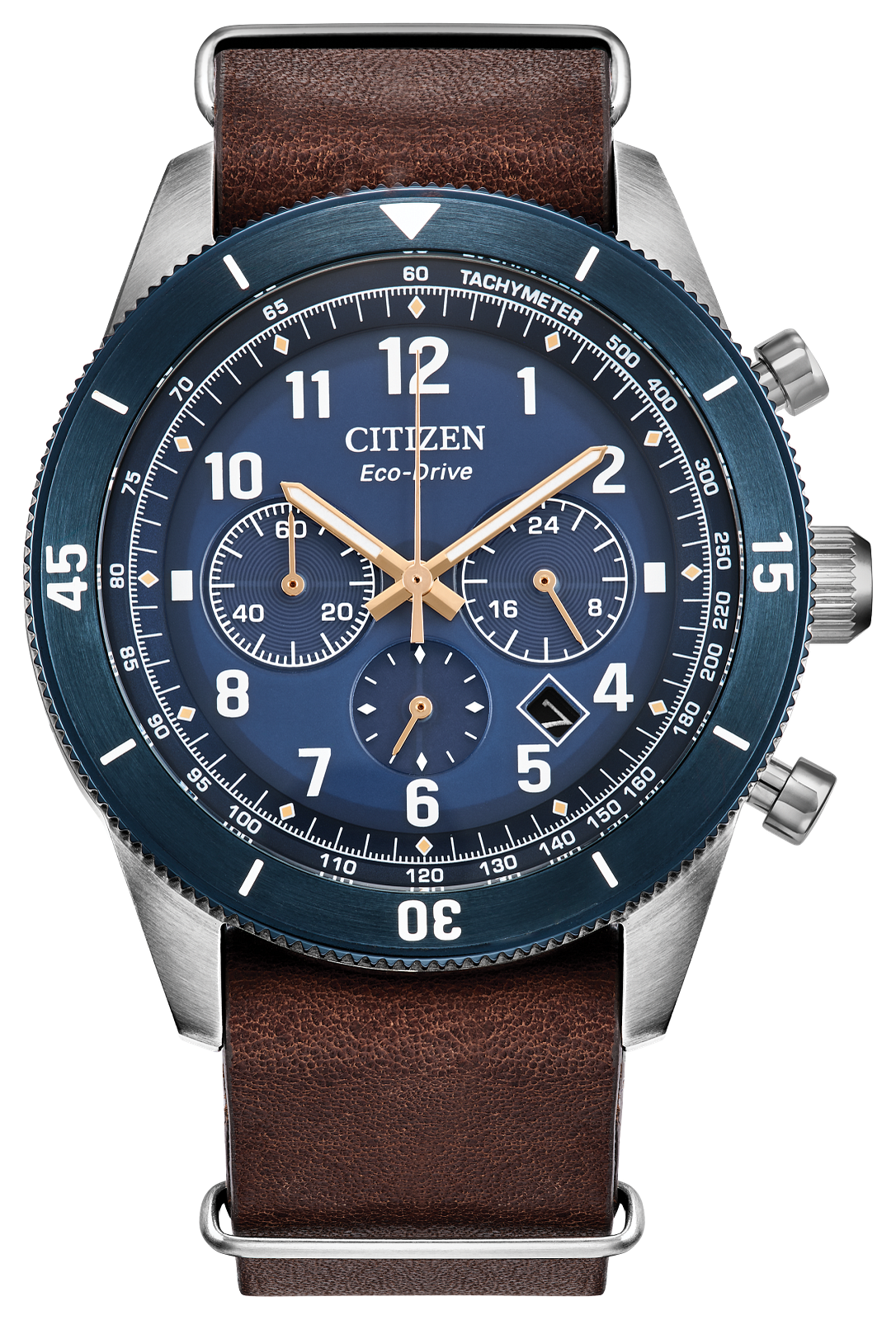 Citizen Eco-Drive watch with a blue dial, blue bezel, brown leather strap, and silver stainless steel case on a white background.