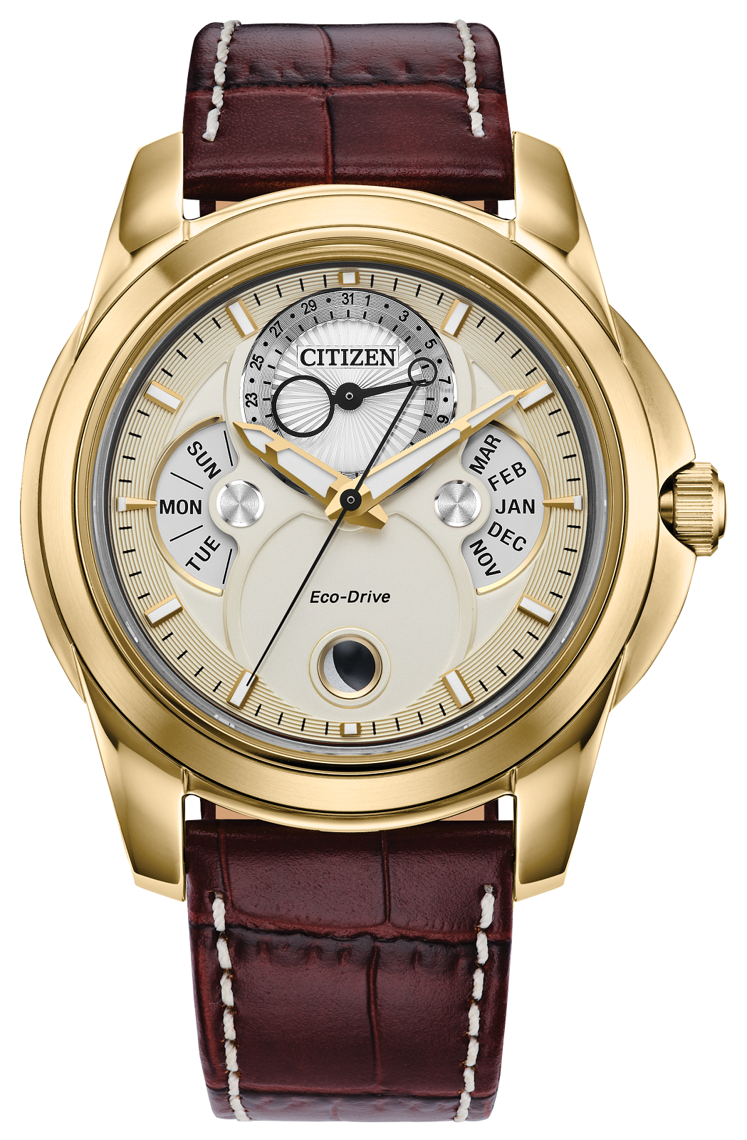 Citizen Eco-Drive watch with a gold-tone case, cream-colored dial with day and month indicators, and a dark brown leather strap with white contrast stitching.