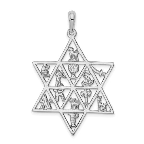 14k-white-gold-12-tribes-star-of-david-pendant-SolomonJeweler-Wichita-KS-CustomJewelry