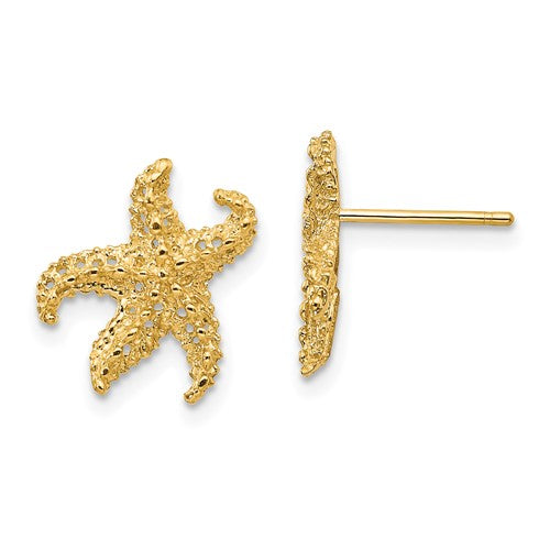 14k-starfish-earrings-SolomonJeweler-Wichita-KS-CustomJewelry