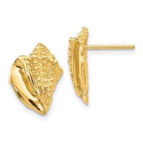 14k-conch-shell-earrings-SolomonJeweler-Wichita-KS-CustomJewelry