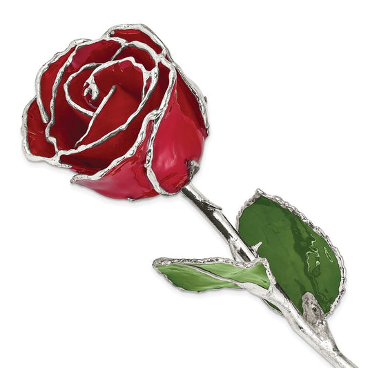 Lacquer Dipped Silver Trimmed Red Rose - Solomon Jewelers