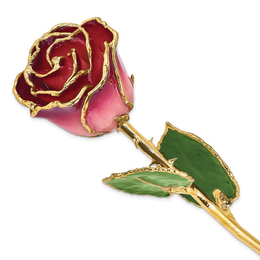 Lacquer Dipped Gold Trim Pink and Burgundy Rose - Solomon Jewelers