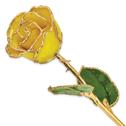 Lacquer Dipped Gold Trim Yellow Rose - Solomon Jewelers