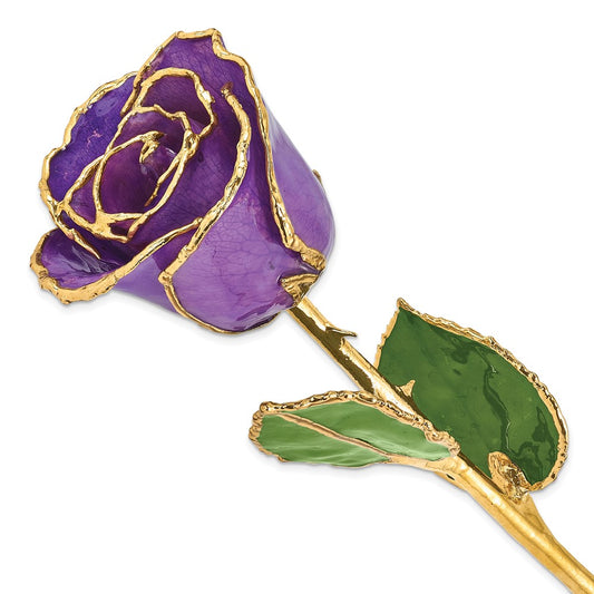 Lacquer Dipped Gold Trim Lilac Rose - Solomon Jewelers