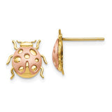 14k-two-tone-ladybug-post-earrings-SolomonJeweler-Wichita-KS-CustomJewelry