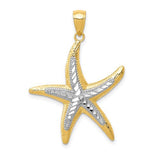 14k-with-white-rhodium-starfish-pendant-SolomonJeweler-Wichita-KS-CustomJewelry