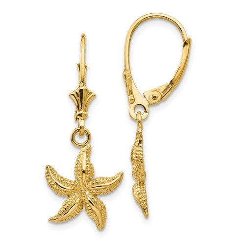 14k-starfish-leverback-earrings-SolomonJeweler-Wichita-KS-CustomJewelry