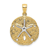 14k-two-tone-sand-dollar-w-starfish-pendant-SolomonJeweler-Wichita-KS-CustomJewelry