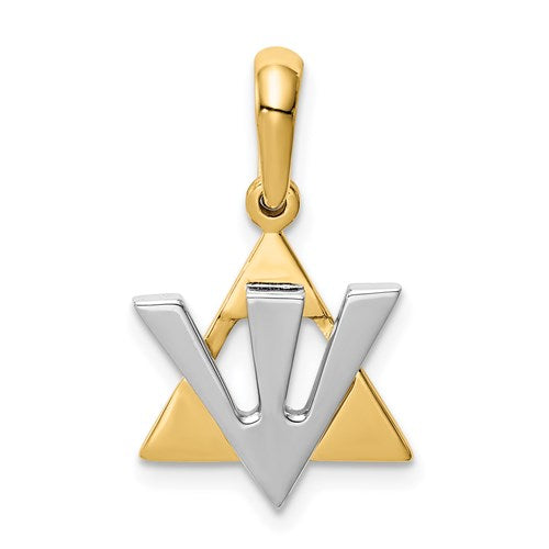 14k-two-tone-star-of-david-w-shin-charm-SolomonJeweler-Wichita-KS-CustomJewelry