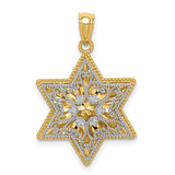 14k-two-tone-polished-reversible-filigree-star-of-david-pendant-SolomonJeweler-Wichita-KS-CustomJewelry