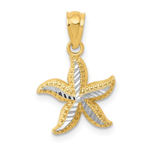 14k-with-white-rhodium-diamond-cut-starfish-pendant-SolomonJeweler-Wichita-KS-CustomJewelry