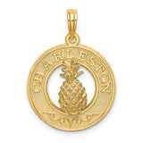 14k-charleston-pineapple-charm-SolomonJeweler-Wichita-KS-CustomJewelry