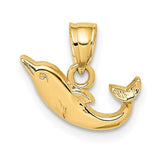 14k-polished-mini-dolphin-charm-SolomonJeweler-Wichita-KS-CustomJewelry
