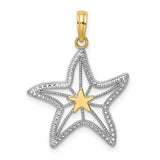 14k-with-white-rhodium-small-starfish-charm-SolomonJeweler-Wichita-KS-CustomJewelry