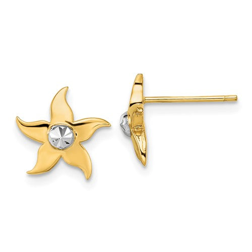 14k-w-rhodium-starfish-post-earrings-SolomonJeweler-Wichita-KS-CustomJewelry
