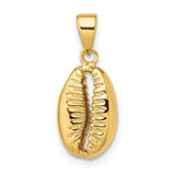 14k-polished-3-d-cowrie-shell-pendant-SolomonJeweler-Wichita-KS-CustomJewelry