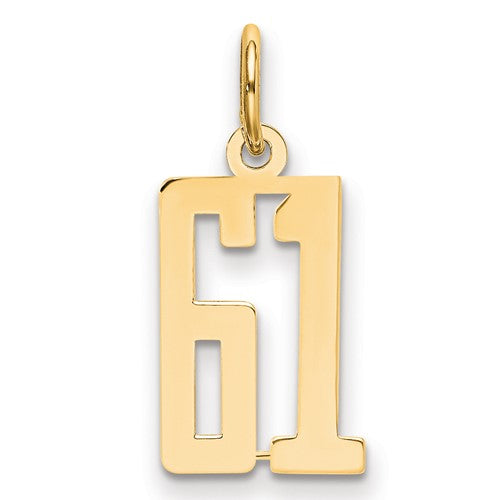 14k-small-elongated-number-61-charm-SolomonJeweler-Wichita-KS-CustomJewelry