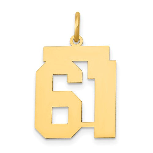 14k-medium-polished-number-61-charm-SolomonJeweler-Wichita-KS-CustomJewelry