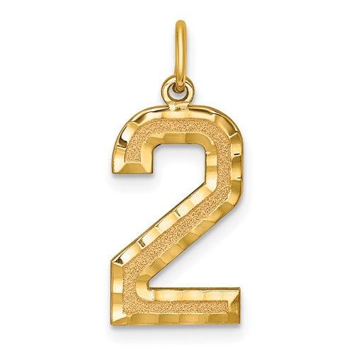 Gold pendant charm with brushed finish and diamond-cut number 2 design from Solomon Jewelers, perfect for personalized jewelry.