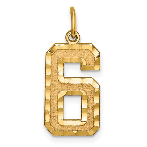 14k gold large brushed diamond-cut number 6 charm pendant for jewelry, featuring a bold and stylish design by Solomon Jewelers.