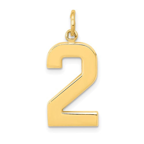 14k-large-polished-number-2-charm-SolomonJeweler-Wichita-KS-CustomJewelry