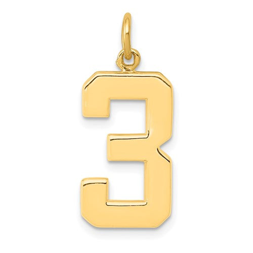 14k-large-polished-number-3-charm-SolomonJeweler-Wichita-KS-CustomJewelry