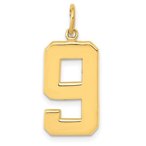 14k-large-polished-number-9-charm-SolomonJeweler-Wichita-KS-CustomJewelry