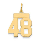 14k-small-polished-number-48-charm-SolomonJeweler-Wichita-KS-CustomJewelry