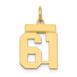 14k-small-polished-number-61-charm-SolomonJeweler-Wichita-KS-CustomJewelry