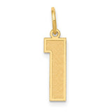 14k-medium-satin-number-1-charm-SolomonJeweler-Wichita-KS-CustomJewelry