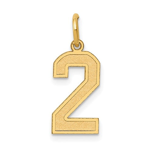 14k-medium-satin-number-2-charm-SolomonJeweler-Wichita-KS-CustomJewelry