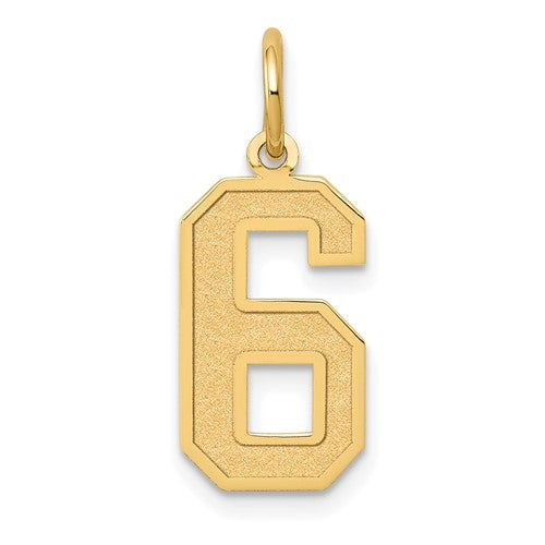14k-medium-satin-number-6-charm-SolomonJeweler-Wichita-KS-CustomJewelry