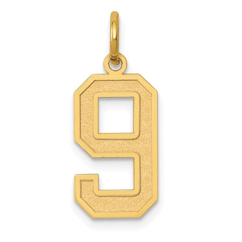 14k-medium-satin-number-9-charm-SolomonJeweler-Wichita-KS-CustomJewelry