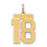 14k-medium-satin-number-18-charm-SolomonJeweler-Wichita-KS-CustomJewelry