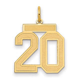 14k-medium-satin-number-20-charm-SolomonJeweler-Wichita-KS-CustomJewelry
